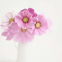 小伶玩具:悦儿和summer在便利店吃饭,还不忘拆