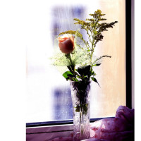 字正腔圆!考生却称从不练播音腔,厉害!