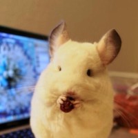 谢楠羡慕李承铉给戚薇解鞋带,吴京心慌了