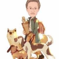 wlf武林风最新一期 拳新1代 坦克邱建良