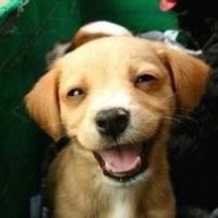 广场舞 2018最新广场舞 吉祥中国年