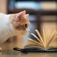 放声唱 韩红怒骂的流浪歌手小孙浩与高光明本