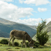 39步广场舞健身舞《一晃就老了》广场舞歌曲