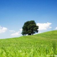 老梁大胆直言:饭都吃不上了, 还买什么保险?揭