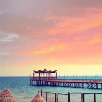 《一站到底》精彩答题:NBA球队雄鹿队坐落于