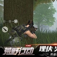 王者荣耀李元芳和鲁班的最新套路!快手一只傻