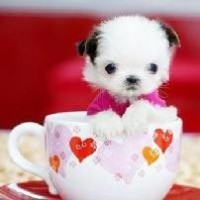 经典歌曲 离歌 信乐团原唱最新mv 经典歌曲就是