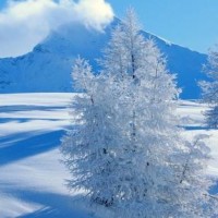 我想和你唱:娃娃音美女杨千嬅合唱《花好月圆