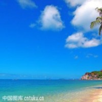 小学二年级加法规律题,班里的天才学霸都懵了