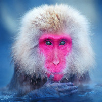 儿童英语教学句子'我很感谢你的帮助'用英语怎