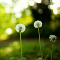 郭麒麟讲述减肥方法,一年瘦六十斤,前11个月瘦