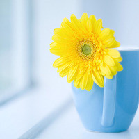 2018抖音最火舞蹈成了人家学校的课间操!为什