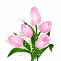 王俊凯被撒贝宁调侃身高脸红,唱一首明日歌,岁