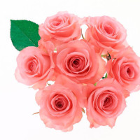 《西游记》唐僧路过女儿国插曲《女儿情》,好