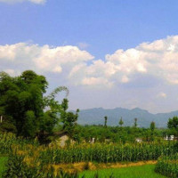 中秋佳节日部队依然坚持战备拉动 演练真实对