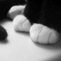 姥爷的囧架架超越原唱,就是表情太夸张!