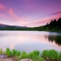 生活小妙招:裤腰大了一点怎么办?不用拿出去改