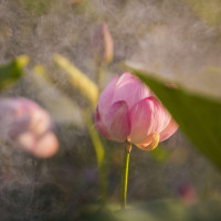 CF手游:直说吧!满眼英雄武器的V9仓库,值多少