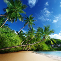 郑多燕减肥操健身操,十分钟瘦身操视频教学,针