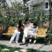 观赏鱼-黄金招财猫鱼,有点像动画片里跑出来的