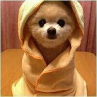 张世豪一人去澳门赌场赌钱,赢了澳门黑帮大哥