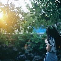 不会日语没有朋友还不能去日本旅游啦!一个人