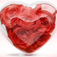 赌侠1999粤语10 得唔得嘎?拿去搭车啦,得嘎,应