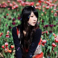 视频 Cctv-8 电视剧频道直播