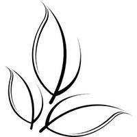 曾经中国csgo的最强阵容Tyloo,天禄战队震撼宣