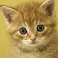 赵丽颖用臭脚丫熏林更新,林更新;一笑而过!