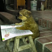 爆笑:学生处这三个字会写吧,写的太完美了,看一