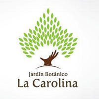 我的世界MC真人版:史蒂夫玩吃鸡,没想到竟然