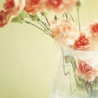 宝宝巴士:奇奇妙妙变身小画家在沙滩上画神奇