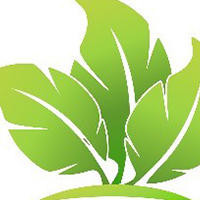 跑男第六季:baby一首英文歌,外国面试官都觉得