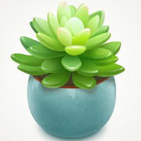 熊出没:我终于知道光头强为什么至死不渝跟着