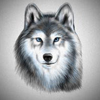 我的世界:彩色羊指令教程