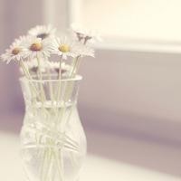 搞笑临夏配音秀之姐哥帮忙倒车