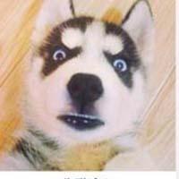 大神把Angelababy和范冰冰两位美女PS合成了