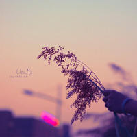 哈哈,B站面筋哥被抖音玩坏了,也就是在前几天