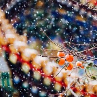 《萌妃驾到》金晨因为逃命闯进皇上浴池,全被