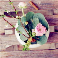 校长张弛连转8所学校,花钱上大专!家庭背景真