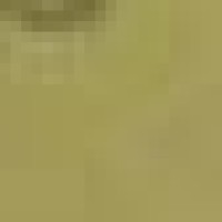 宝宝色彩和英语启蒙早教,卡通小鸭子在彩球池