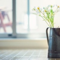 皇子跑朝堂上哭闹 皇后飚英语道