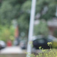 《快乐大本营》迪丽热巴与张云龙跳舞,比和鹿