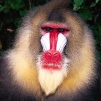 鞋子白边脏了很难清洗?一招教你刷一刷瞬间变