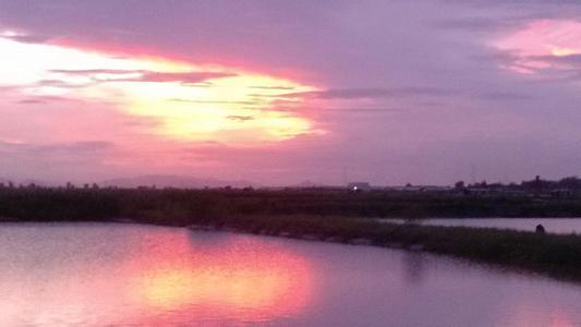 三人俄舞花式教学,基础花式的动作分解
