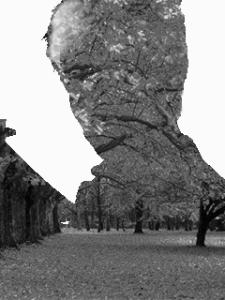 茄子的拼音怎么变成了七约瘸 瘸子!爷爷教的拼