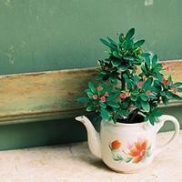 看完你学会了嘛?《迷你世界》三种穿梭门教学