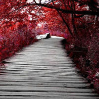 川上富江仿妆,小姐姐们要不要了解一下?