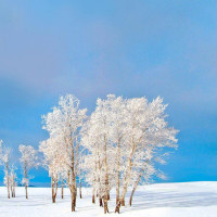 英语老师失恋后,找学生出气,女同学霸气有用英